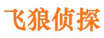 长清侦探公司